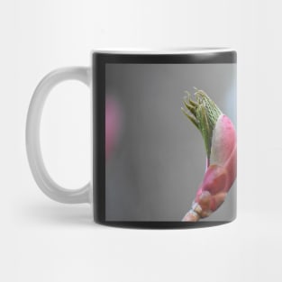 Spring bloom Mug